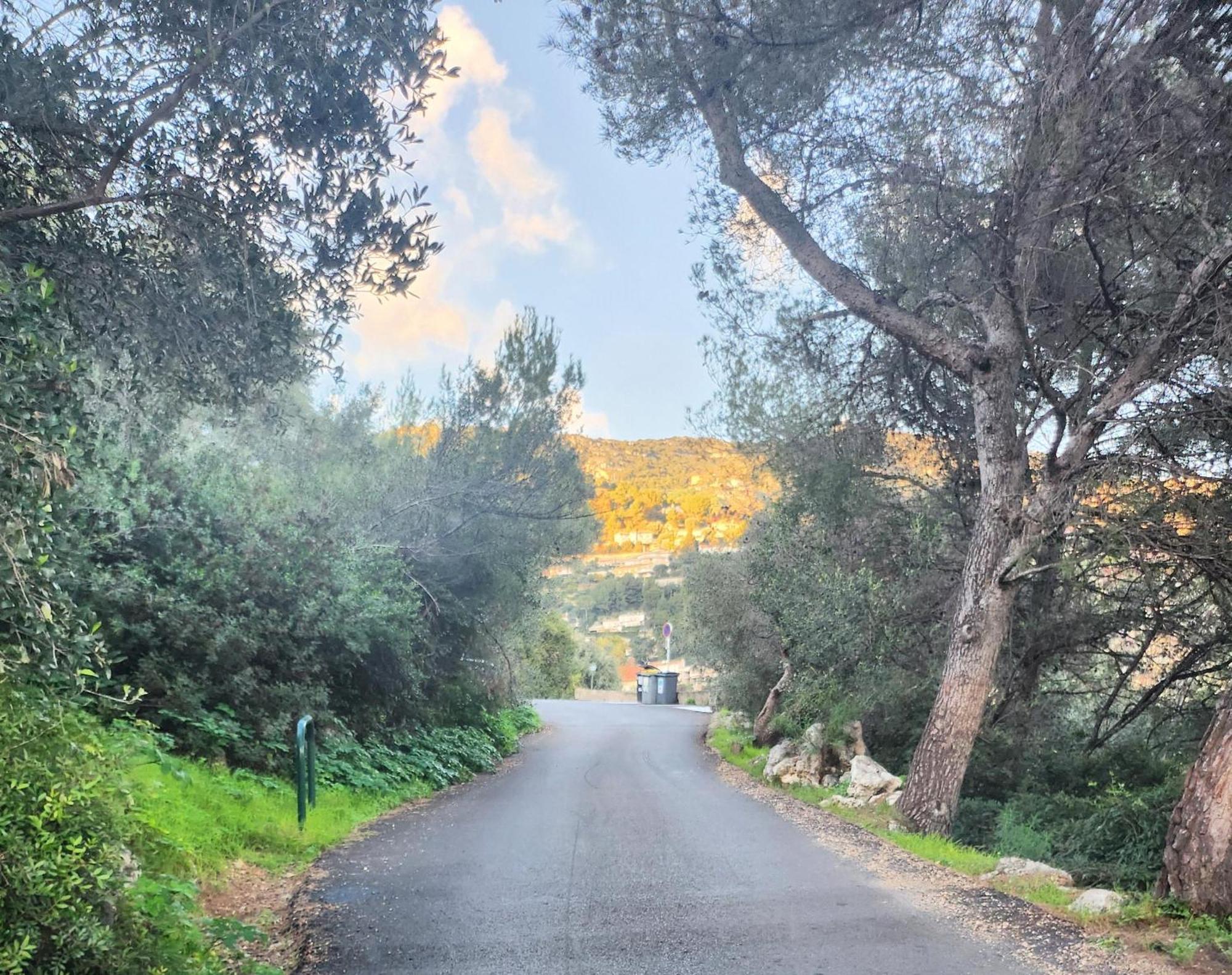 Le Mas D'Angeline, Vue Mer, Jardin Commun, Parking, Voiture Requise, 10 Min En Voiture De Monaco, Route Etroite, Pente Raide, Croisement Limite, Sea View, Shared Garden, Parking, Car Required, 10 Min Drive From Monaco, Narrow Steep Road, Limited Pass Босолей Екстер'єр фото