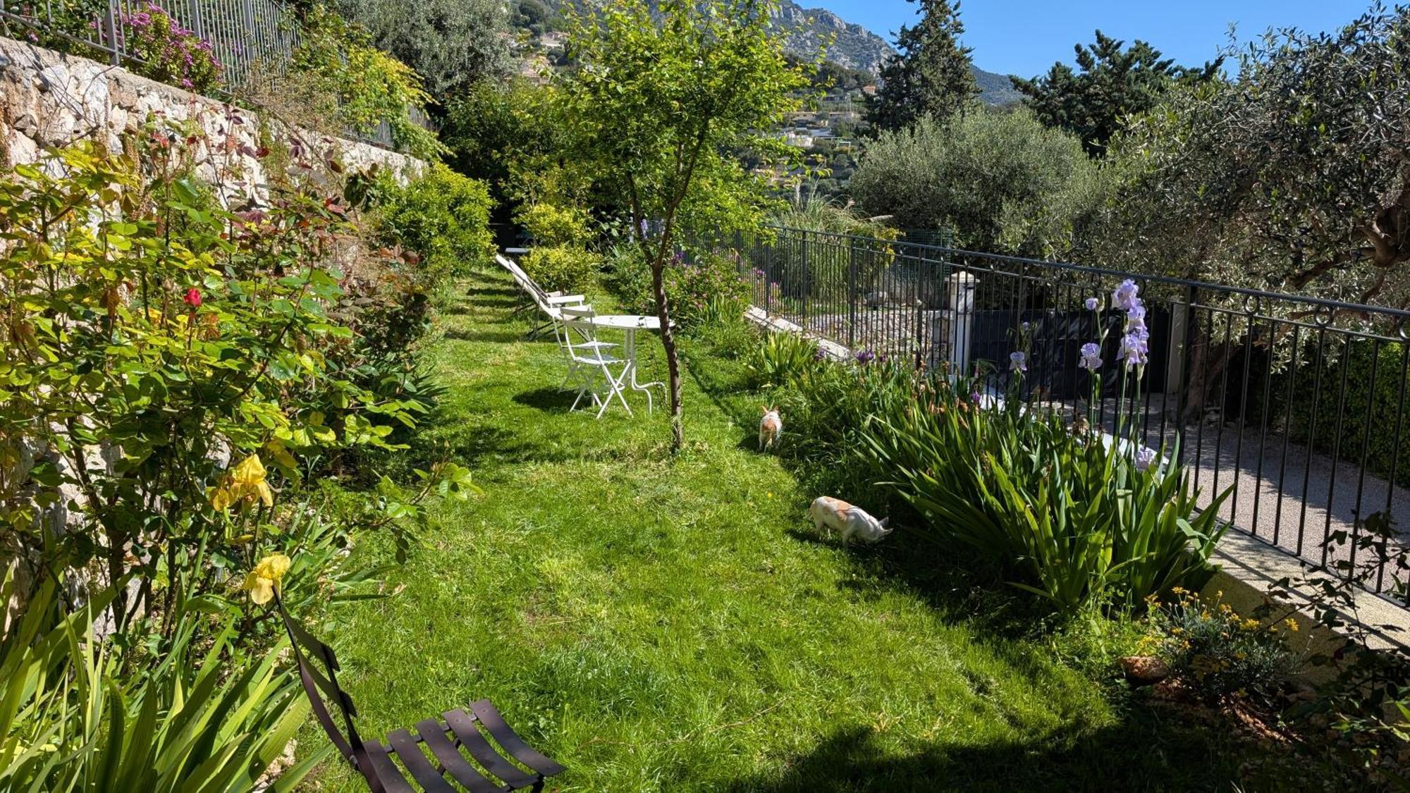 Le Mas D'Angeline, Vue Mer, Jardin Commun, Parking, Voiture Requise, 10 Min En Voiture De Monaco, Route Etroite, Pente Raide, Croisement Limite, Sea View, Shared Garden, Parking, Car Required, 10 Min Drive From Monaco, Narrow Steep Road, Limited Pass Босолей Екстер'єр фото
